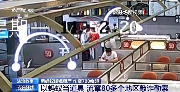 湖北警方破获跨区域流窜敲诈勒索案：以蚂蚁为行骗工具