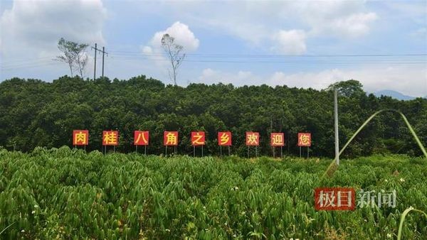 广西防城港5死1伤惨案揭开乡村隐秘矛盾：百小时艰难搜捕细节曝光