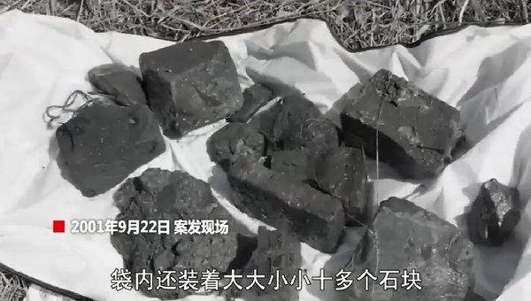 南京中山陵命案22年后告破，隐藏情感纠纷背后的沉湖杀人真相曝光