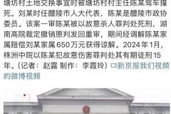 湖南政协委员撞死人大代表，赔偿650万后获刑15年，案件背后的真相与争议