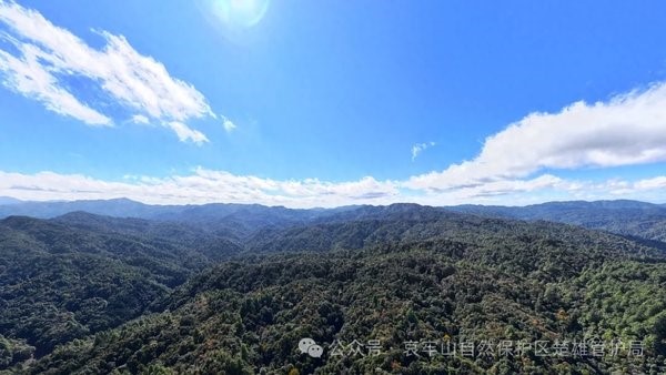 云南哀牢山楚雄州辖区：严禁擅自进入保护区，违反者最高罚款5000元