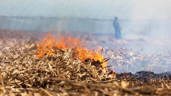 秸秆焚烧“禁改限”：背后的深层原因与应对措施